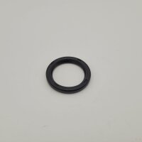 Shaft seal ring SSP-G special for SSP44-SSP45-SSP46 31x41x5
