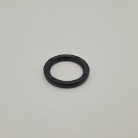 Shaft seal ring SSP-G special for SSP44-SSP45-SSP46 31x41x5