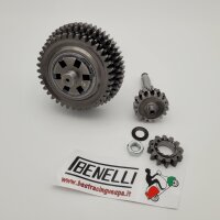 Transmission complete including auxiliary shaft, main shaft, shift claw, gear wheels, kickstarter pinion BENELLI type Bull 6-arm
